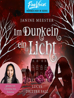 cover image of Im Dunkeln ein Licht